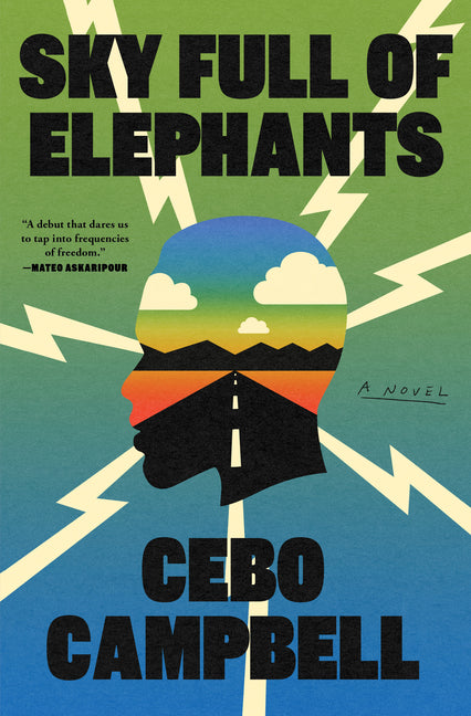 Sky Full of Elephants - Ingram