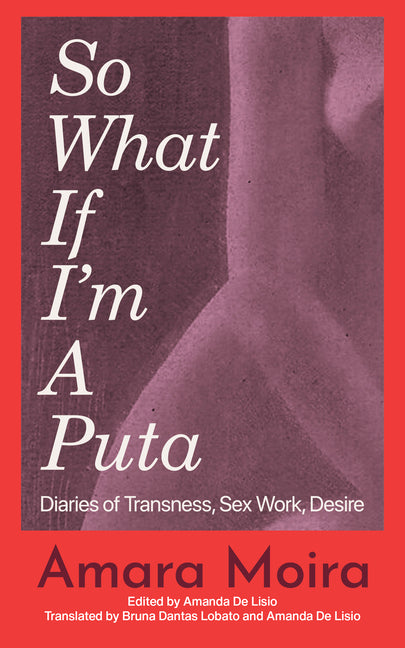 So What If I'm a Puta: Diaries of Transness, Sex Work, Desire - Ingram